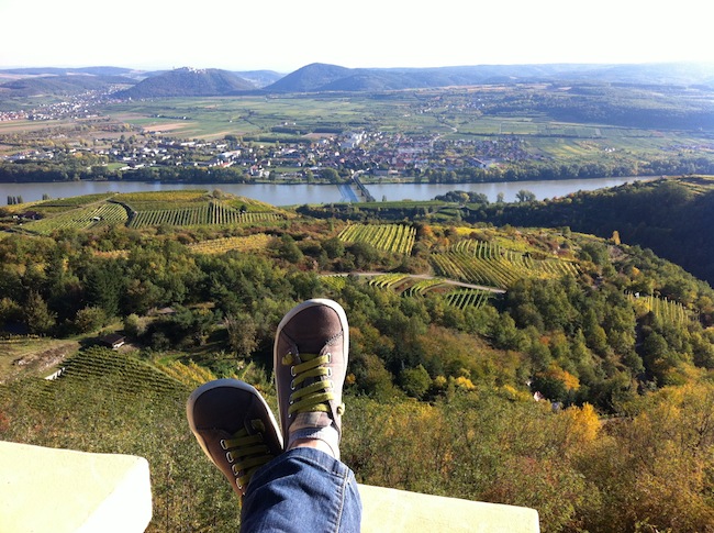 Herbst an der Donau in Niederösterreich mit Wein & Genuss!