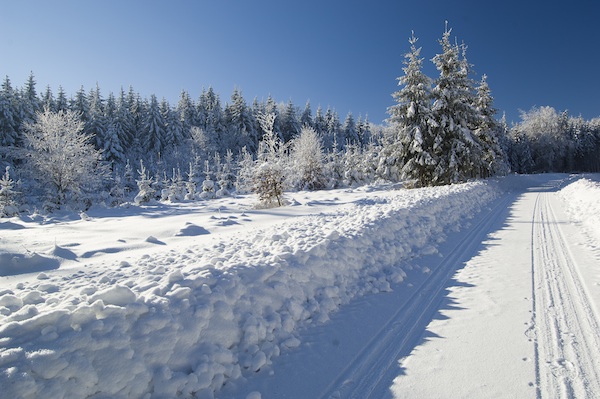 Winterlandschaft pur macht Lust auf Entdeckungen! ©Karl Schweighofer jun., Waldviertel Tourismus