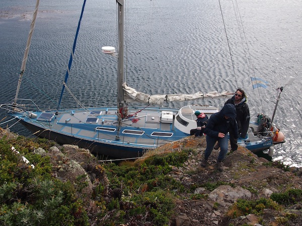 Sailing company Tres Marias takes us out on Canal Beagle, off the city of Ushuaia, for amazing birdwatching & hiking opportunities on a nearby island of the sea canal.