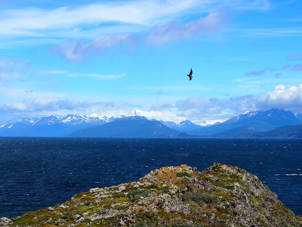 A sailing excursion on Canal Beagle, off the city of Ushuaia, allows for wonderful vistas, exceptional bird & plant life on nearby islands and is a must for any trip to this area.