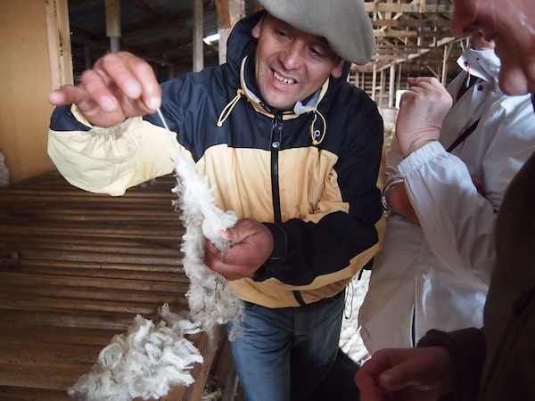 Our host and his family are happy to demonstrate the quality of their Merino sheep, which they shear every year in spring and summer and whose "cordero" (lamb) we are enjoying for lunch ...