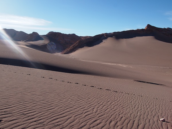 Auch die Wüste beeindruckt durch ihre unsägliche Schönheit ..
