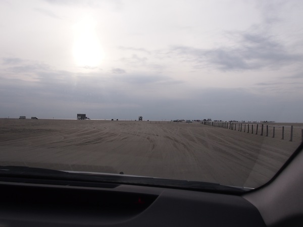 In the evening, Elke drives me and the dogs to a nearby beach, St. Peter-Ording where she manoeuvres the car right out onto the beach. An experience that gets me squealing with joy – funny Austrian (with no beach) I am!