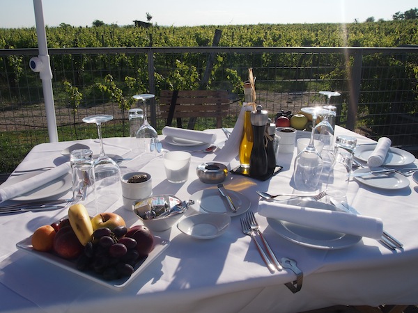 On the second night of our stay at the LOISIUM hotel, we opt for this amazing picnic in the vineyards – and are simply overwhelmed by the beauty of the moment. 