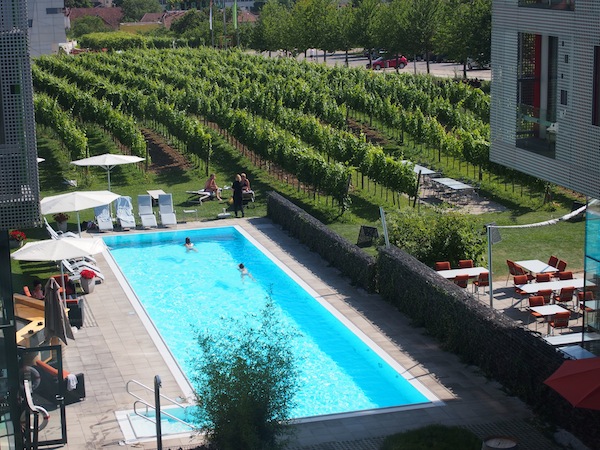 Blick auf Pool & Weingärten des Wine & Spa Resort LOISIUM Hotel Langenlois.: To dream for.