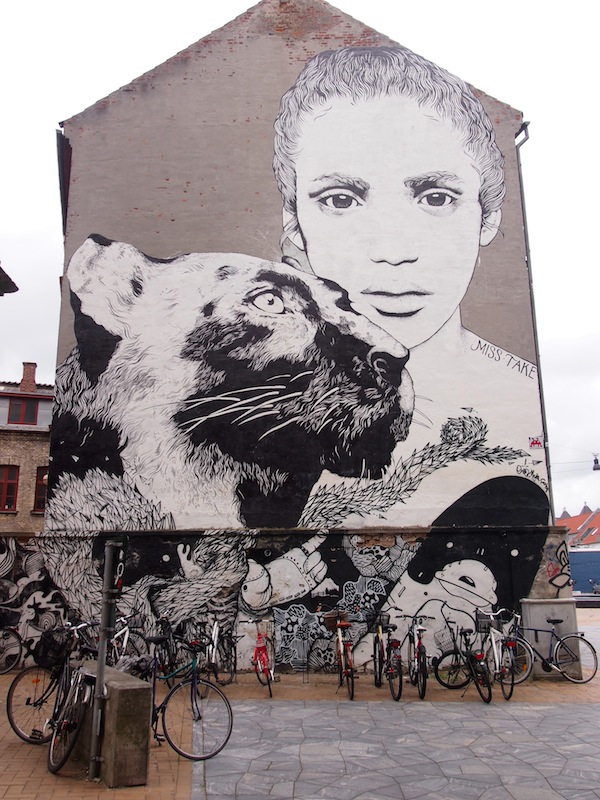Nebst historischen Erzählungen finden wir hier auch großartige Street Art Graffiti Werke mitten in der Altstadt von Odense.