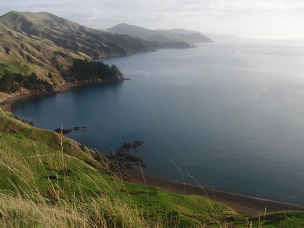 The icing on the cake ... Standing in front of a landscape like this, looking out over the Marlborough Sounds near French Pass Sea Safaris.