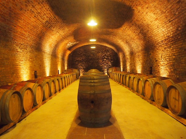 We check out the wine cellars during a guided tour …