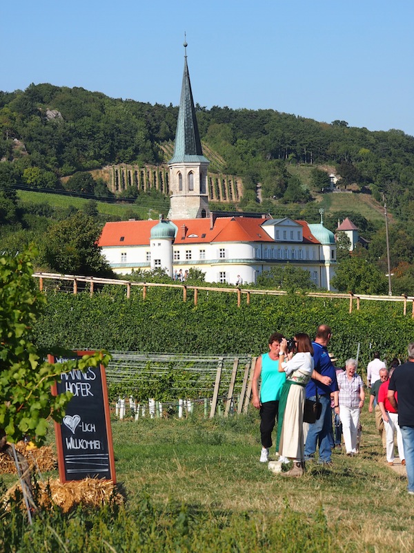 Besucher von nah & fern genießen Stimmung und Ambiente am Weinwanderweg der Genussmeile, hier vor dem Weinort Gumpoldskirchen.