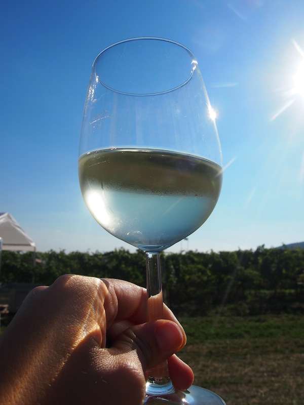 Let us toast to good health: A glass of “Sir Oliver” wine from the Thermenregion wine growing district …