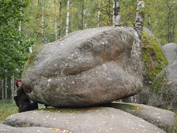 Hier im Naturpark Blockheide Gmünd rütteln wir zum Kräftemessen an den Steinriesen der Vergangenheit, genannt "Wackelsteine": Riesige Granitblöcke, die aus dem Erdreich "herausgewittert" sind. Faszinierend!