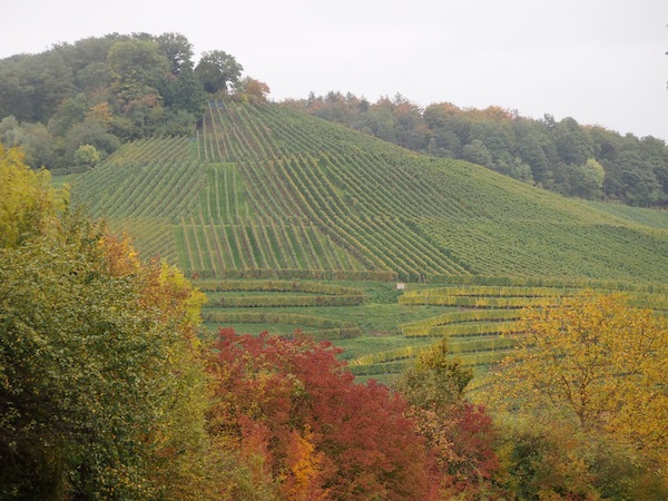 Seht Euch diese traumhafte Landschaft an ... Gerade jetzt im Herbst leuchten die Farben des RadSüden Baden-Württemberg besonders schön.