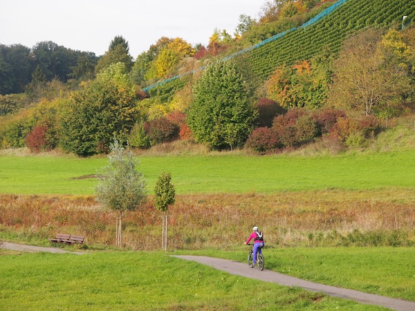 E-Biken südlich von Heilbronn ... Landschafts- & Naturgenuss pur.