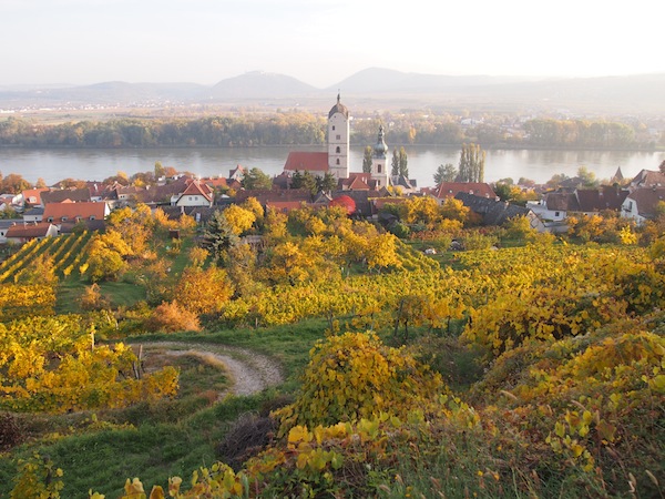 Lieblingsbild Nr. 1: Die malerische Herbstlandschaft meiner Heimatstadt Krems an der Donau. Mir fallen keine poetischeren Worte ein, als dieses Bild bereits ausdrückt. Einfach wunderschön ..
