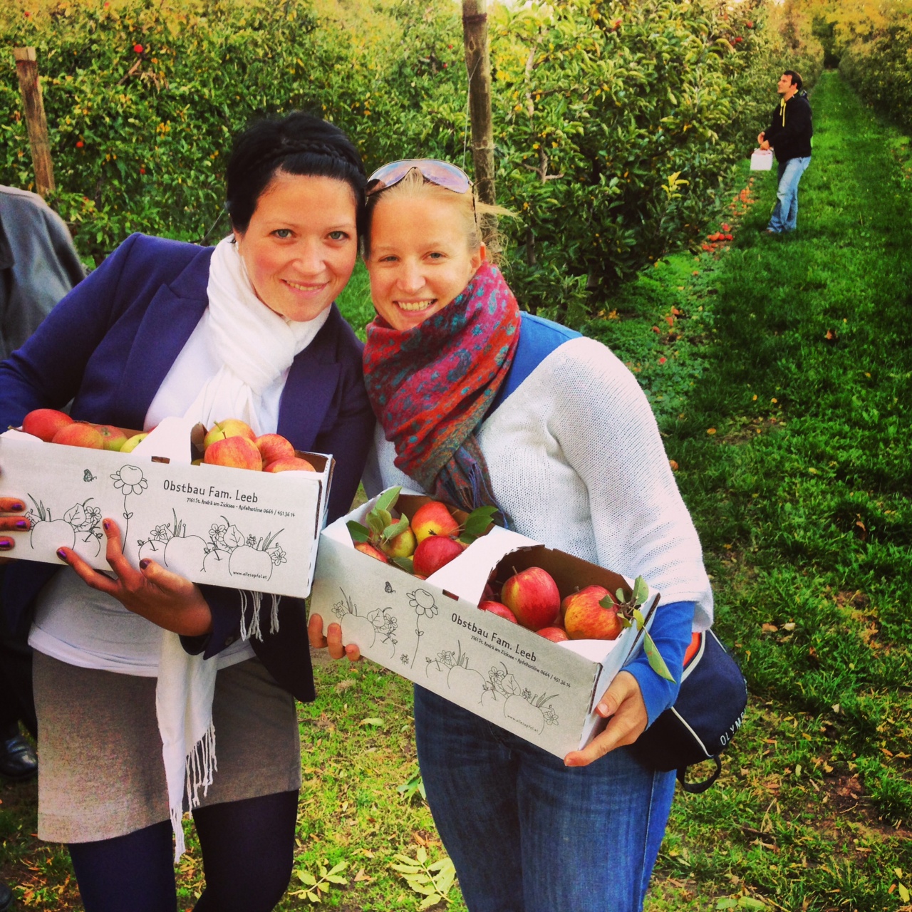 Unterwegs mit der lieben Ursula: Im Burgenland waren wir im Obstgarten unsere eigenen Äpfel ernten, noch heute gilt für mich das bekannte Sprichwort: "An apple a day keeps the doctor away!"