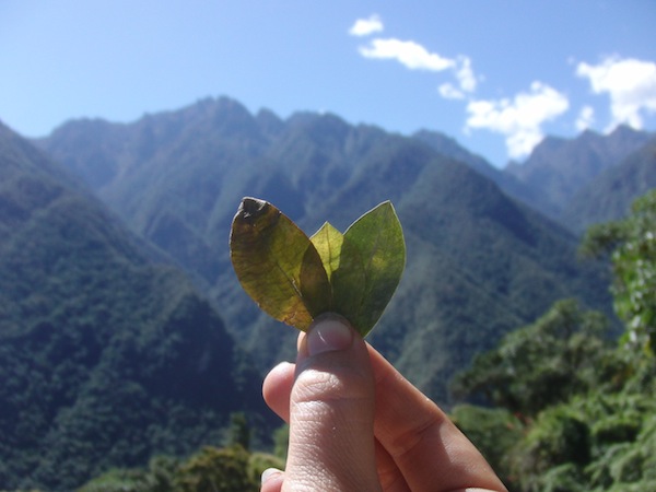 Nachhaltigkeit auf Reisen bedeutet mir auch "nachhaltiges Gedankengut": Beispielsweise habe ich hier in Peru am Machu Picchu gelernt, am Templo de la Luna Pachamama (Mutter Erde) eine Darbietung aus Coca-Blättern zu machen. So machen es die Peruaner schon seit Menschengedenken - das Ritual und das Verständnis für einen Ort leben somit fort.