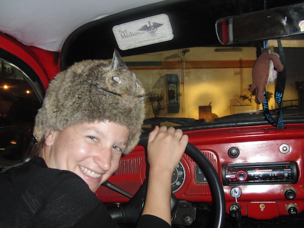Ok. Wo & WIE dieses Foto von mir in einem alten VW Käfer mit einem Chinchilla-Andenhasen auf dem Kopf mitten im nächtlichen Lima, Peru, entstanden ist, ist Stoff für einen weiteren Artikel hier auf meinem Reiseblog. Fürs erste sei gesagt: Treiben lassen, das berühmte "Go With The Flow", haben mich zu diesem ungeheuren Reiseabenteuer gebracht. !!