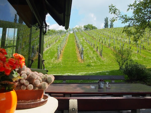 Gleich neben dem Weingut befindet sich die Buschenschank Polz, betrieben von der charmanten Familie Kohlenberger mit wahrlich exzellenter Küche.