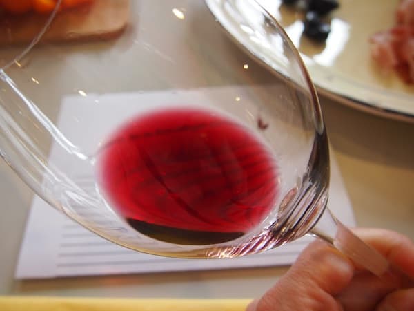 Ich mag unser Weinseminar: Hier beim Prüfen der Rotweinfarbe, wie sich auch später beim Ribiselwein nahe Bratislava erweist!