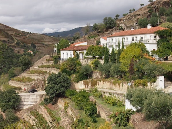 ... und genieße den Blick zurück auf das Weingut Quinta do Panascal von den angrenzenden Weingärten aus.