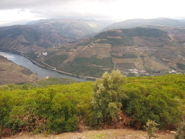 Zu guter Letzt lohnt der Blick vom Miradouro do São Leonardo da Galafura, einem der besten Aussichtspunkte über das gesamte mittlere Douro-Tal.