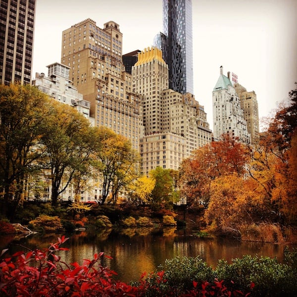 ... and thanks to the hotel's central location on Madison Avenue / 45th Street Manhattan, I did enjoy an early Sunday morning run in Central Park, virtually just round the corner ... WOW!