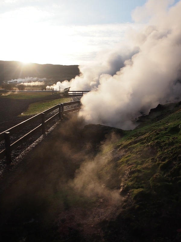 Just how hot it is, is an idea we get from the intense steam around the source waters that boil up out of the ground at almost 100°C! The entire town of Reykholt is thus heated, as well as Björn's uncle running a greenhouse right beside, growing vegetables such as tomatoes or bell peppers. Geothermal energy accounts for everything here in Iceland!