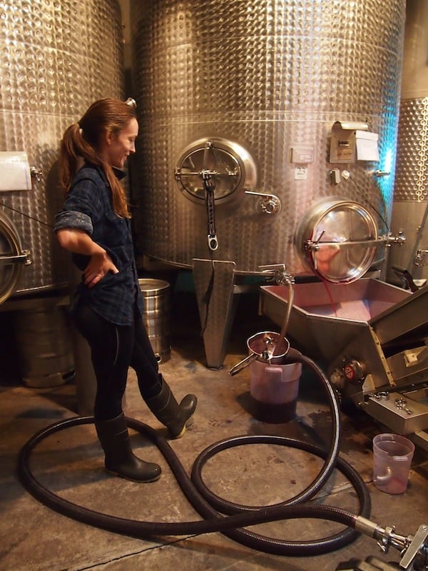 We go behind the scenes to see the actual wine production, here the filtering of the young wine right after its fermentation in this stainless steel tank ...