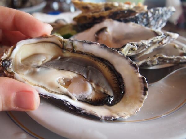 Oh just how I love my oysters here …