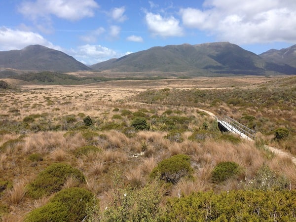 As the magic of the Heaphy Track continues to unfold ...