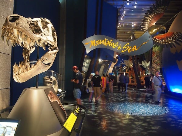 To conclude, I can recommend heading down to Te Papa, the national museum that is always worth the visit really ...