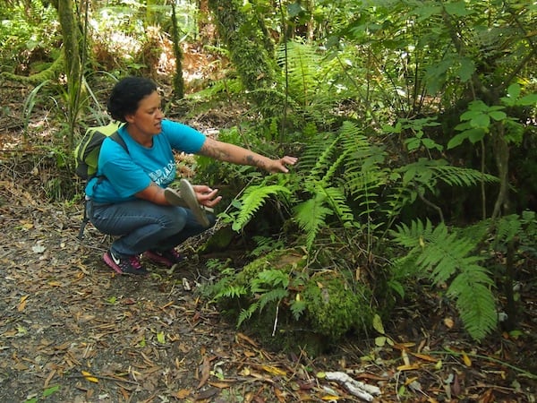 ... with Ngahuia teaching us in an interactive way, all there is to know about the local flora / fauna we watch ...