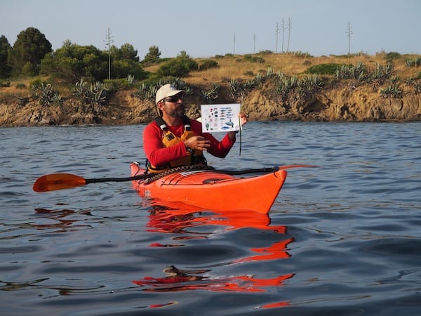Dear Pau, of SK Kayaks, is passionate about what he does, frequently stopping on our way along the coast in order to explain more about the local, maritime wildlife.