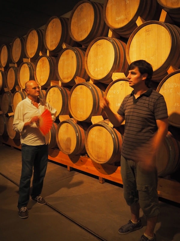 … or follow the wine grower Josep for a interesting tasting into the cellar ...