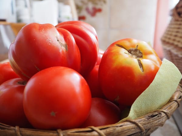 Die Kraft der Sonne will schließlich genutzt sein - wie hier in diesen fruchtig-frischen Tomaten!