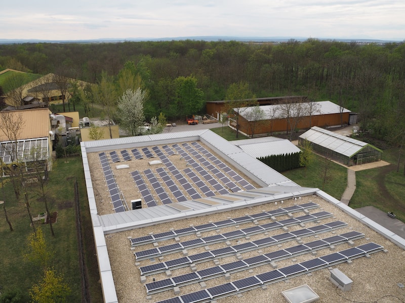 Blick auf die vielen Solarzellen am Dach der Heizungsanlage des Umweltzeichen-Betriebes ...