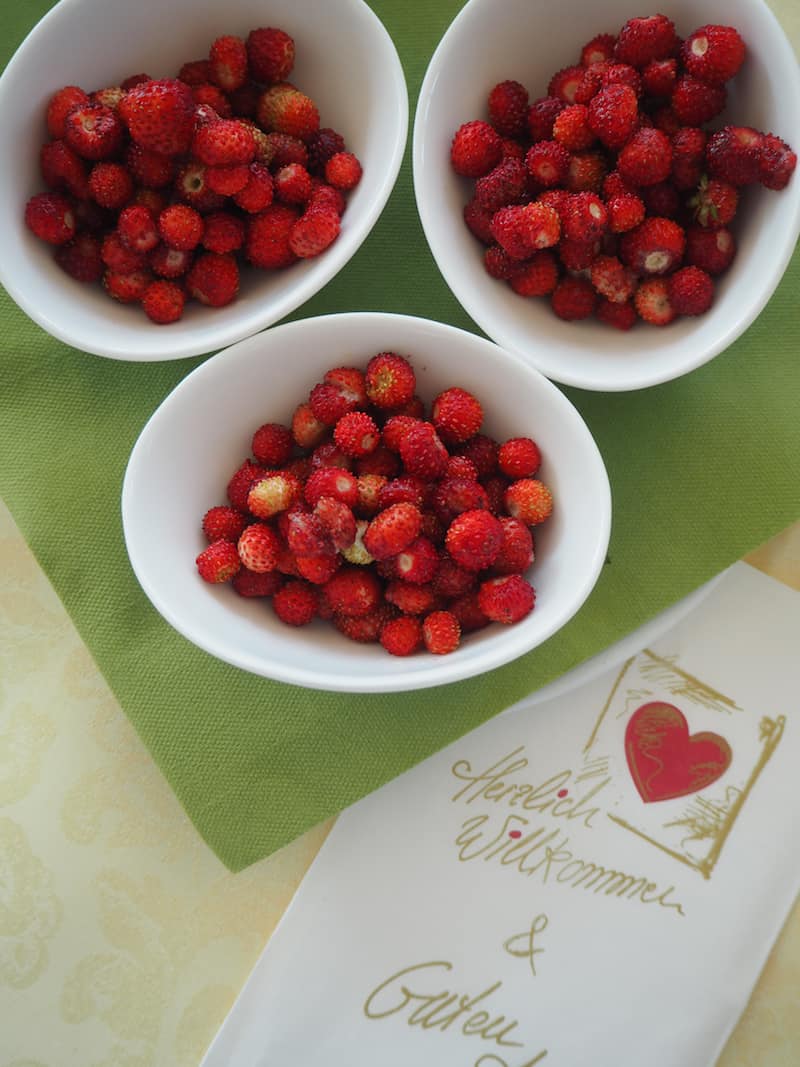 ... in dem der Chef des Hauses schon gut & gerne mal mit frisch gepflückten Walderdbeeren am Frühstückstisch steht! Überrasche Deine Gäste, und Du hast sie gewonnen: Das hätten wir freilich nicht erwartet!