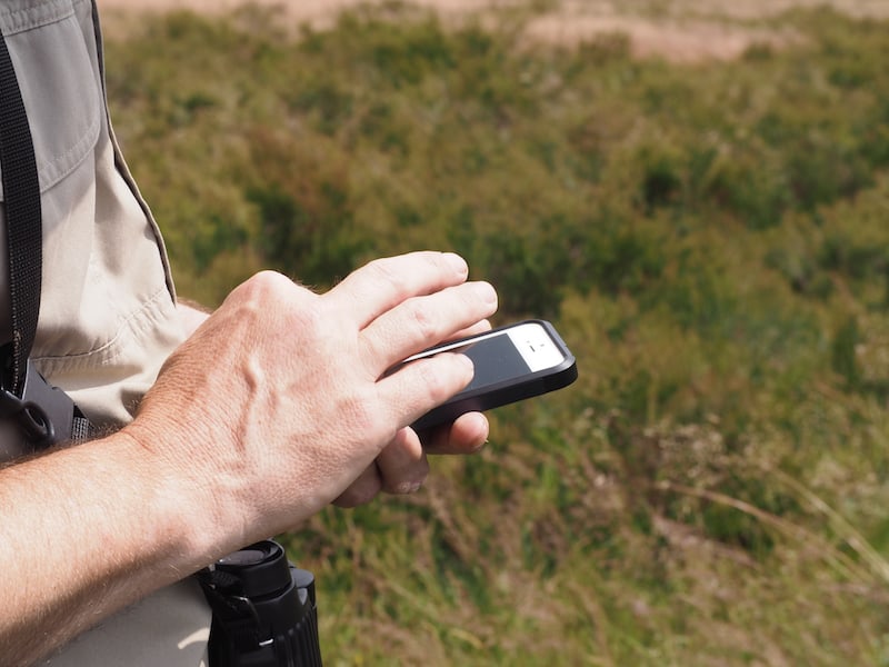 Auch Tierstimmen - Vogelstimmen! - hat er auf seinem Handy gespeichert und kann sie jederzeit abrufen ...