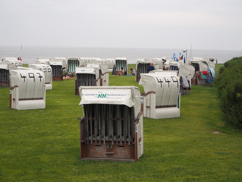 ... dass sich nicht nur Landschaft, sondern gewissermaßen auch die "Architektur" verändert hat: Hier sind sie schon, die berühmten Strandkörbe des Nordens!