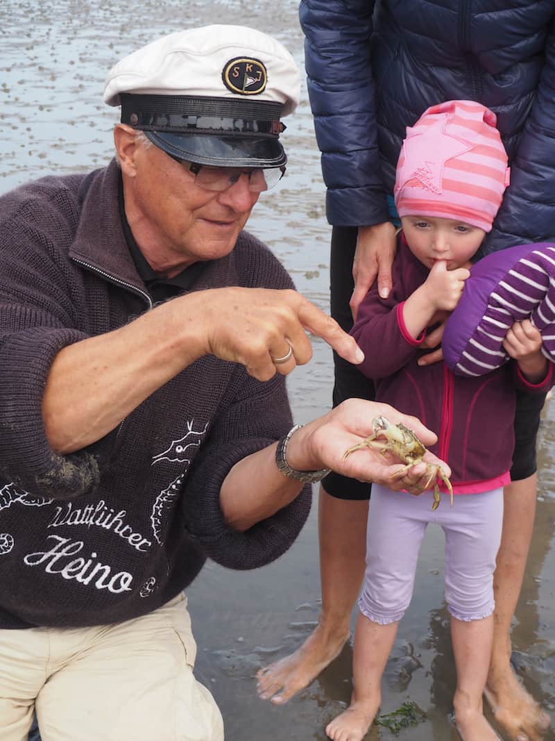 Sieh mal einer an, die seitwärts laufende Strandkrabbe hier! Die große Wattenmeerführung mit Heino Behring ist einzigartig, ich empfehle Euch unbedingt, an selbiger teilzunehmen, um mehr über das Wattenmeer zu erfahren und seine besondere Ökologie und Bedeutung für die Region zu verstehen.