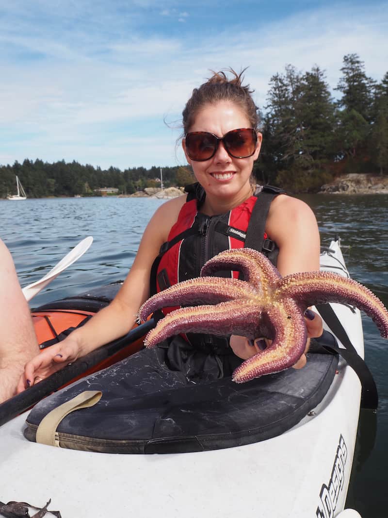 Island Escapes' kayak tour includes many an opportunity to learn more about the natural environment around us. Such as being handed a starfish for closer inspection!