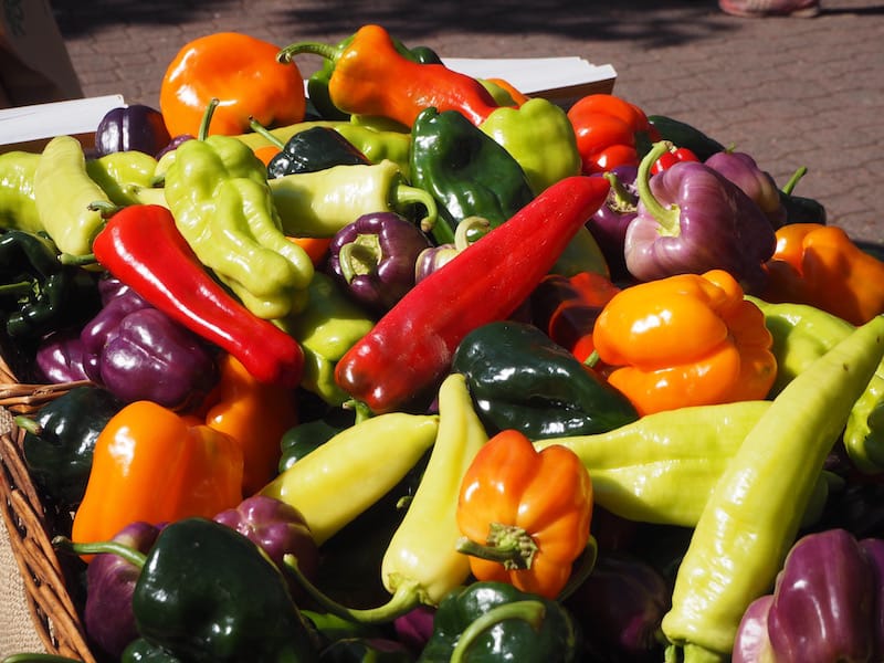 ... (still dreaming about this one of a kind pepper selection) ...
