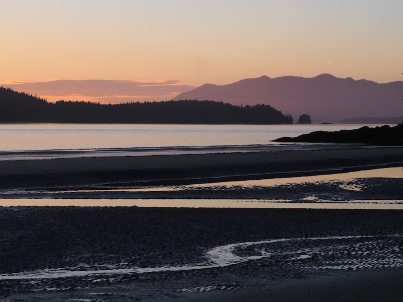 Tofino, then, is like finding the needle in a hay stick of gorgeousness …