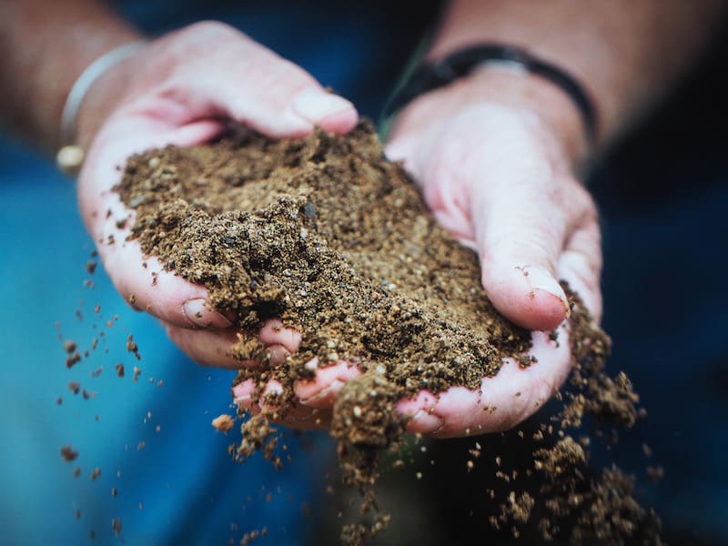 A little later, it's digging deep into the history & culture of wine: Over time, the number of Okanagan wine producers went from only 10 to a staggering 270, with just over 300 wine growers in the whole of British Columbia (photo: Sandhill Winery) …