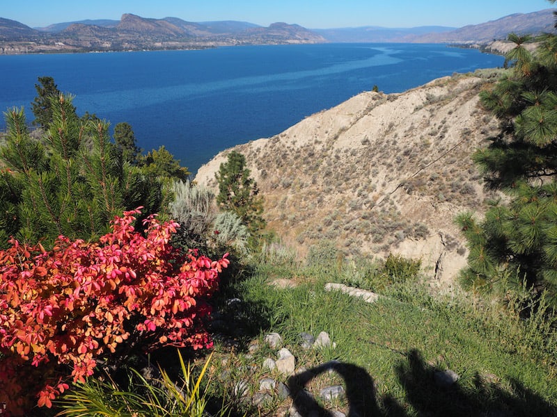 … the Okanagan now being a prized #winelover destination for national and international travellers alike.