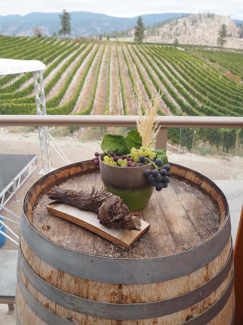 … found at a place called Wild Goose Winery : Gewürztraminer and Riesling since 1983, the oldest plantations for these grape varieties in the valley.