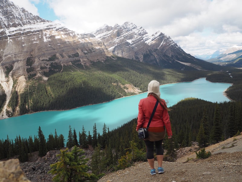 ... be sure to stop at one of my, if not THE favourite place along the entire drive: Peyto Lake near Bow Summit, the road's highest elevation.