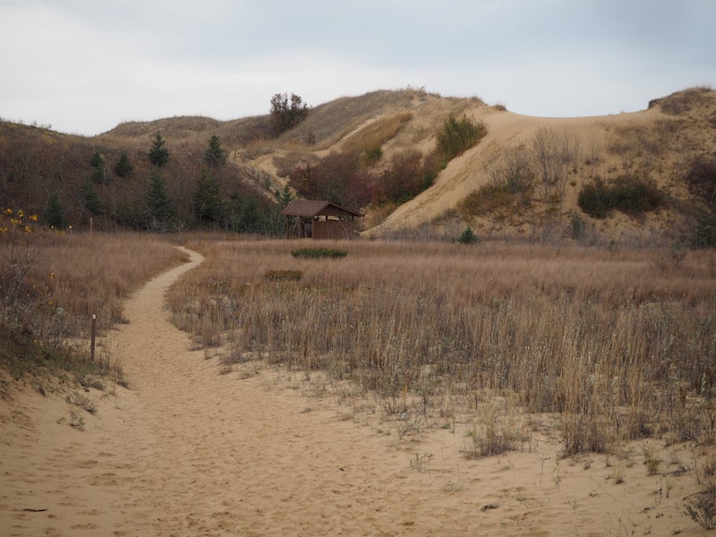 ... as well as all its rather peculiar and fascinating landscapes, such as these massive sand dune deposits here left as the glacial ice retreated north, creating and shaping river valleys and springs along the Prairie way.