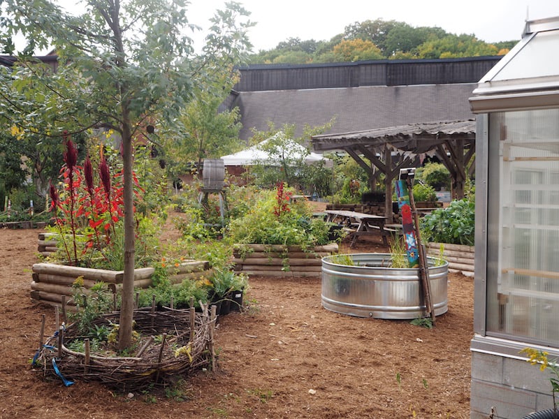 ... all the way to making it one of Toronto's most well-known urban regeneration programs, including this "children's garden" here whose beautiful smell still lingers on my mind ..! If you have an afternoon's worth on your trip, really go here and enjoy.