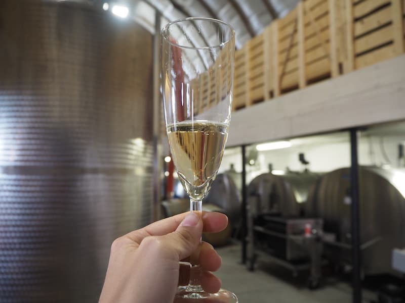 Next up for us on the #winelover agenda is a visit to Hinterland Winery, the only winery to produce only sparkling wine as well as a delicious apple cider from their local apple orchards.